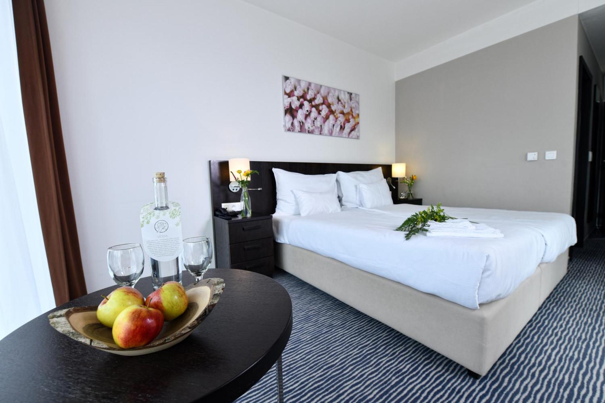 Wellness Hotel Vista Dolní Morava المظهر الخارجي الصورة