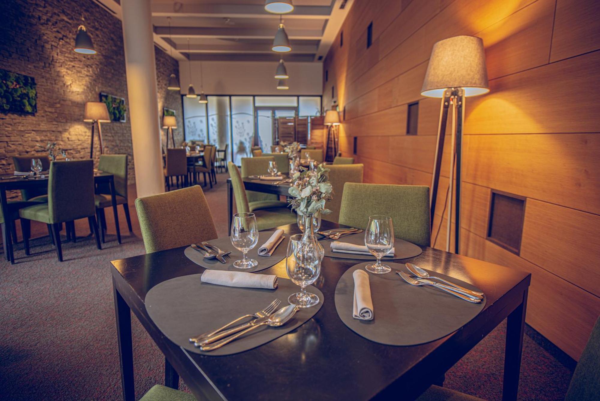 Wellness Hotel Vista Dolní Morava المظهر الخارجي الصورة